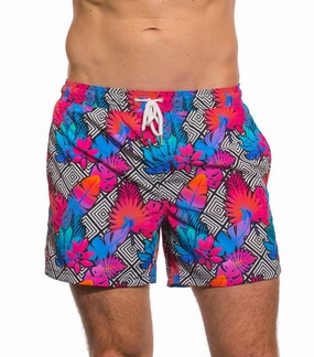 Beach Board Shorts Tropic affordable men's swimwear, summer swimwear for men