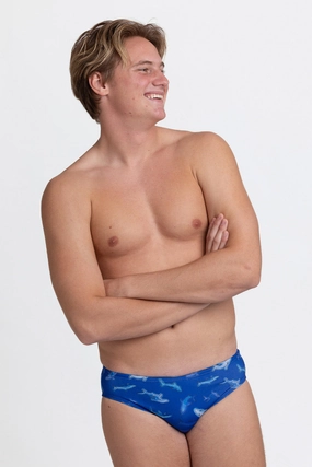 BROLYN Swim Brief - Dun Dun all types of swimwear, stylish swimwear for all body types