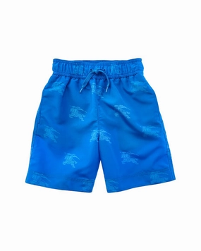 Burberry Swim Trunk boys swimwear sets, boys swim trunks