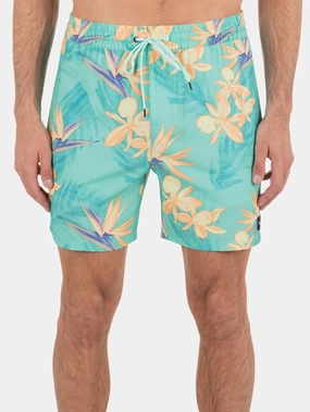Cannonball Volley 17'' Boardshorts men's boardshorts swimwear, long swim shorts for men