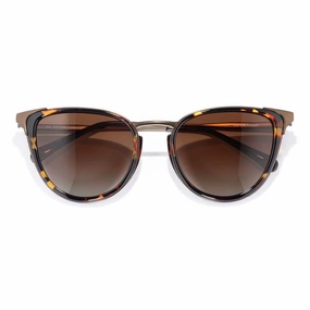 Grab the Deal Now Trending Now Discount Catalina
