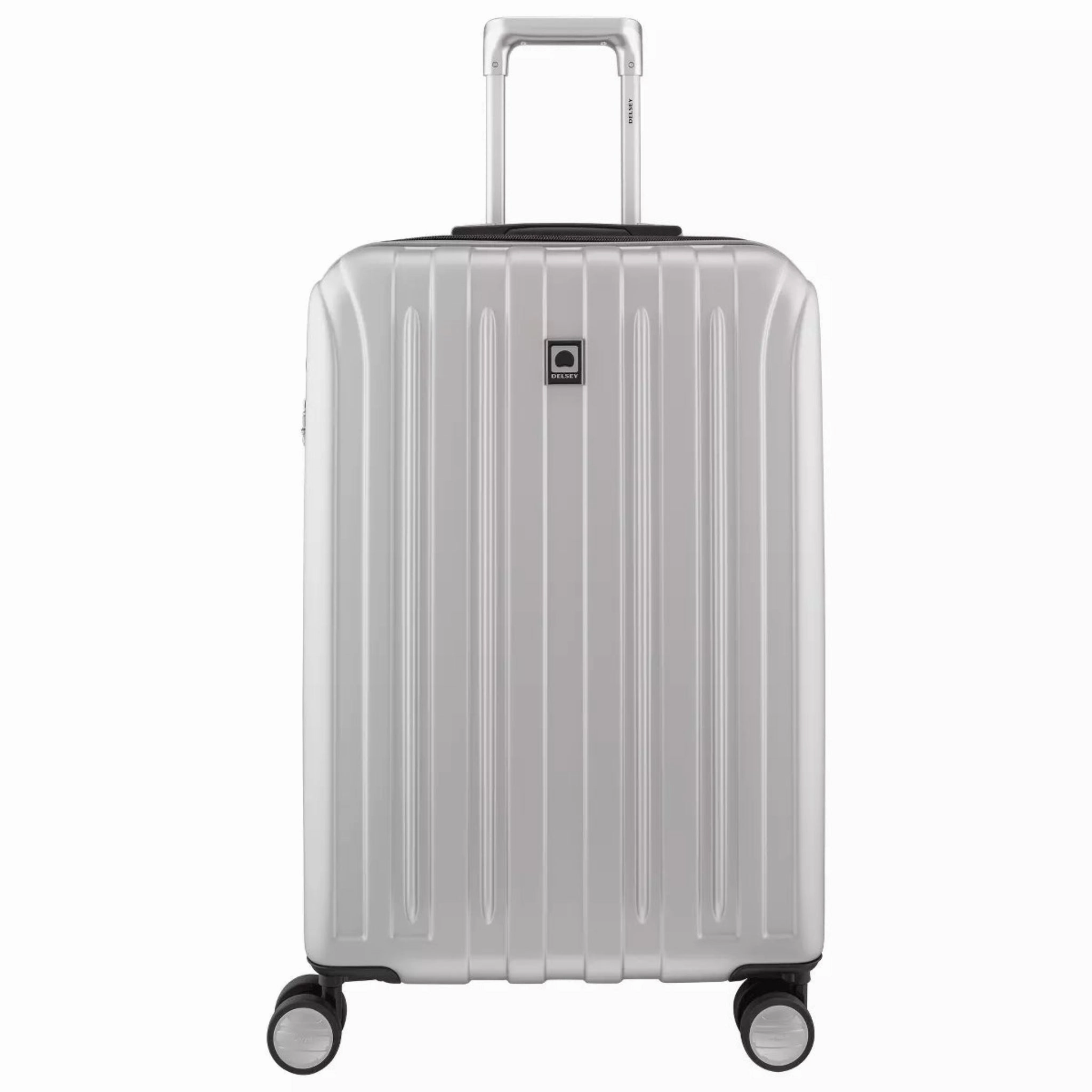 Travel Belt Bag Delsey Titanium Medium Expandable Spinner