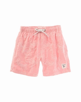 Endless Summer Volley Swim Short boys swimwear sets, boys swim trunks