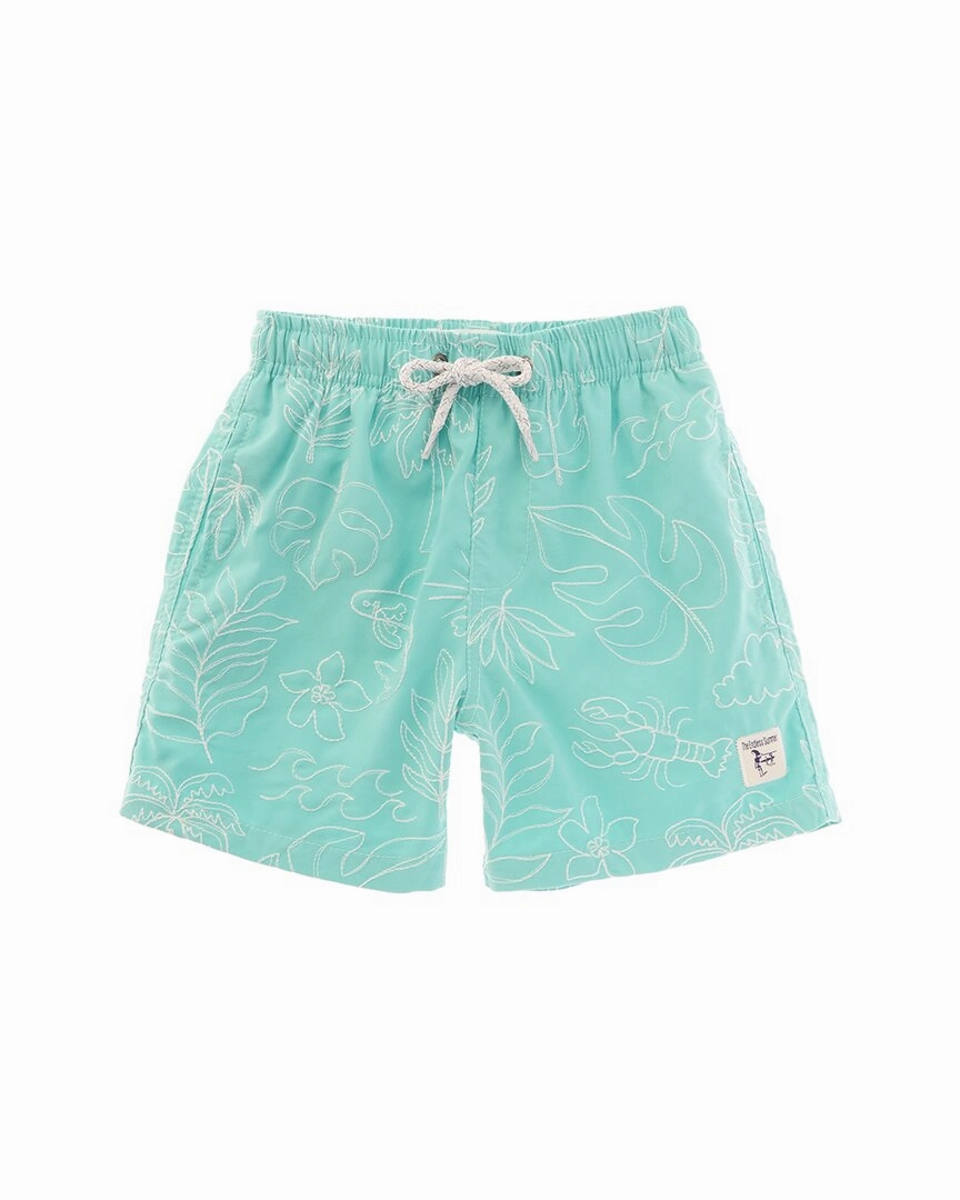 Endless Summer Volley Swim Short boys swimwear sets, boys swim trunks