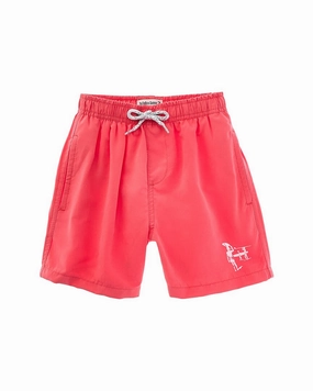 Endless Summer Volley Swim Short boys swimwear sets, boys swim trunks