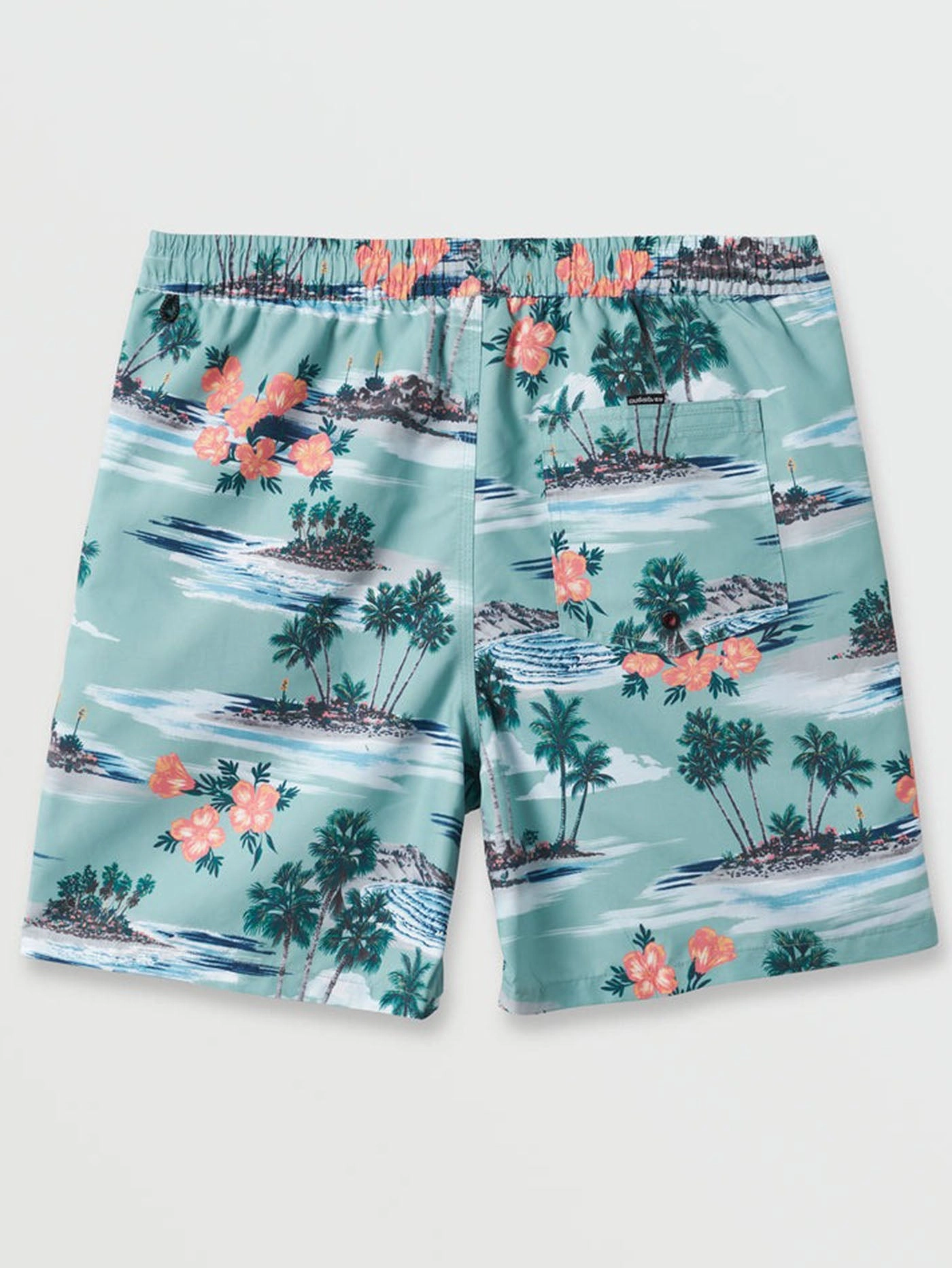 Everyday Mix Volley 17" Boardshorts