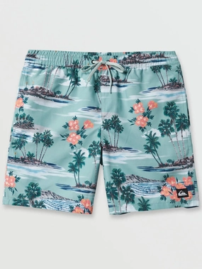 Everyday Mix Volley 17" Boardshorts men's boardshorts swimwear, long swim shorts for men