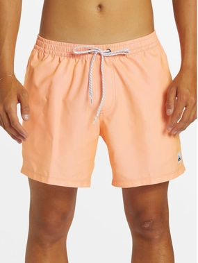 Everyday Solid Volley 15'' Boardshorts men's boardshorts swimwear, long swim shorts for men