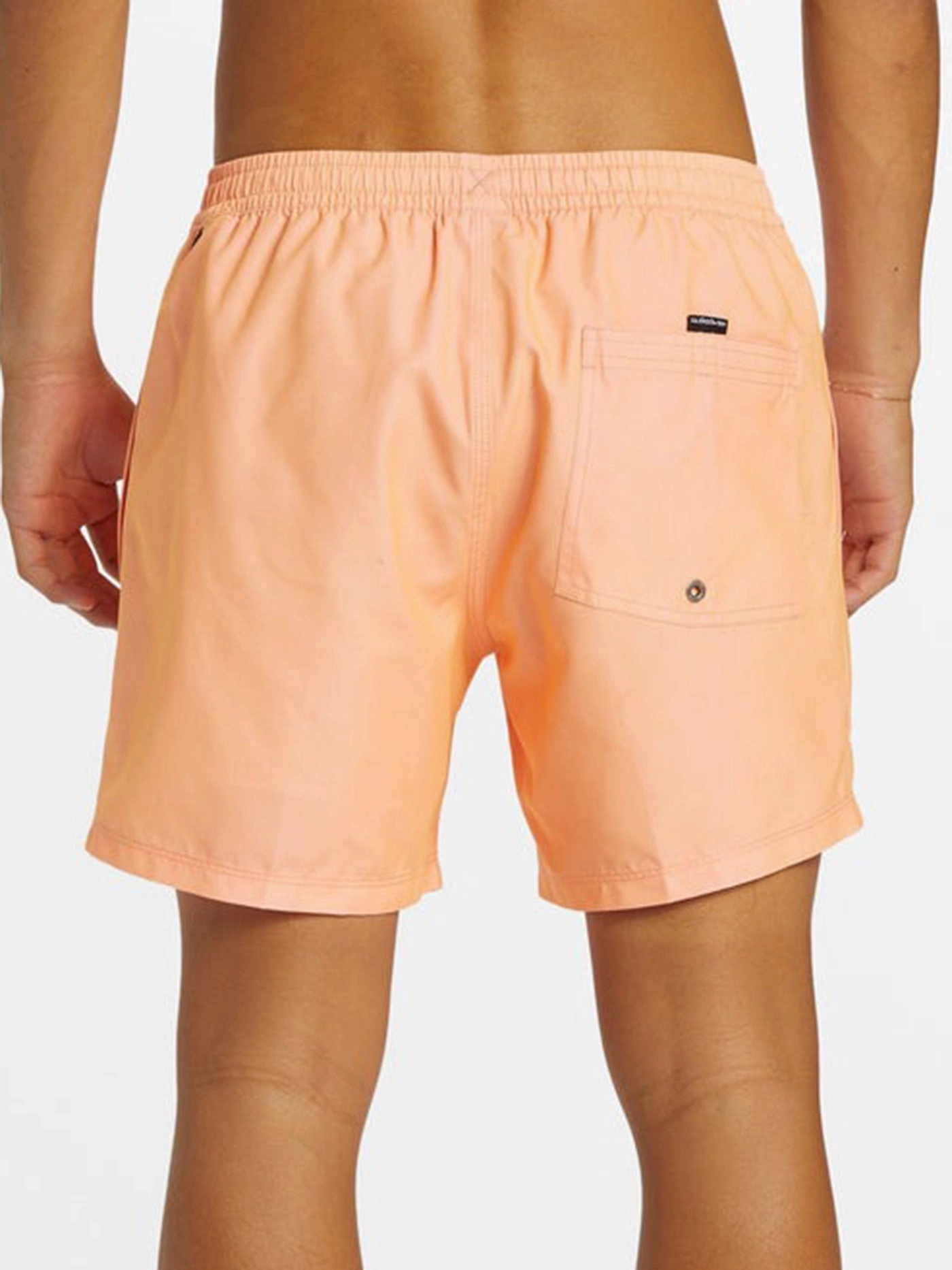 Everyday Solid Volley 15'' Boardshorts