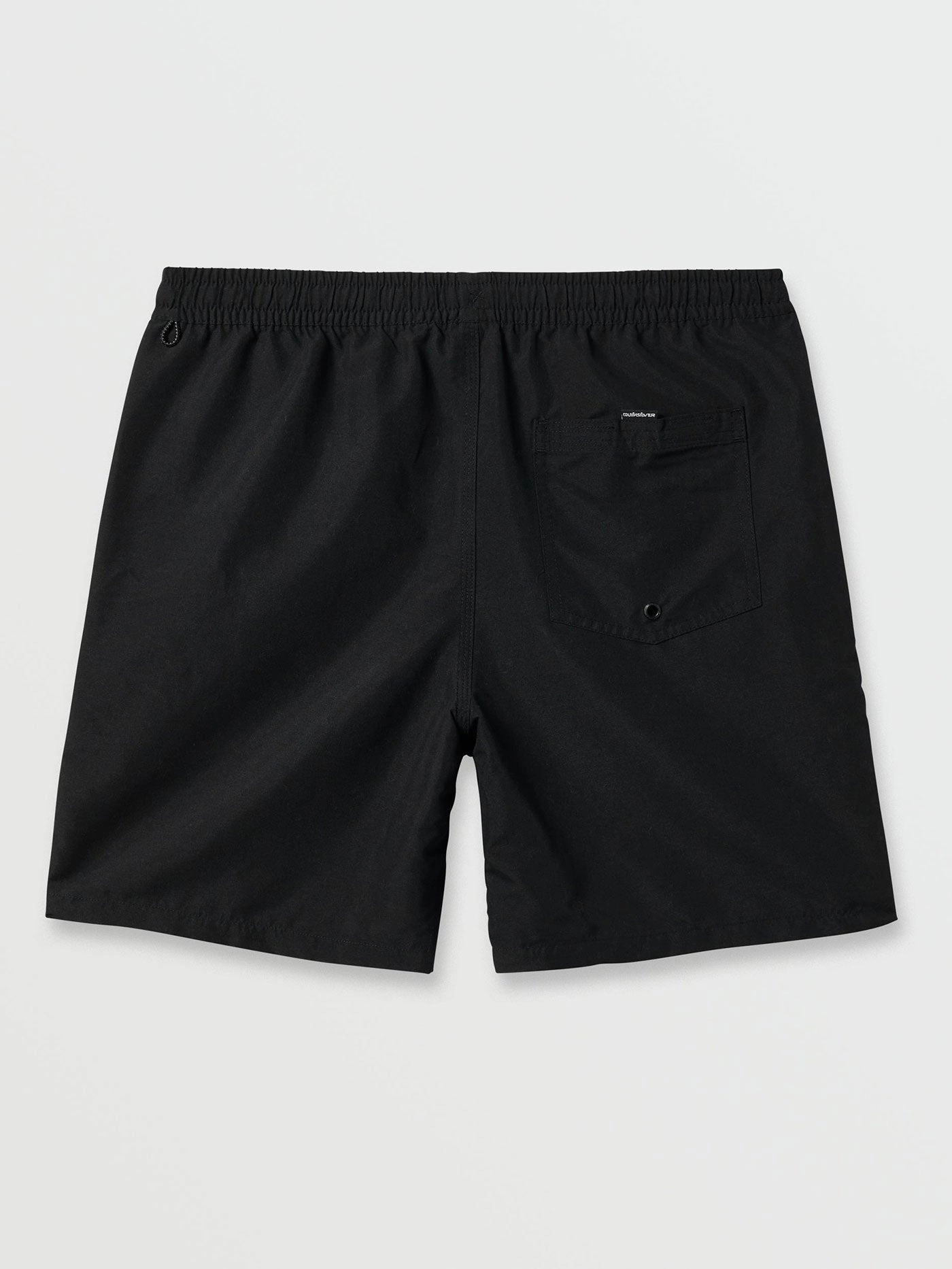 Everyday Solid Volley 17'' Boardshorts
