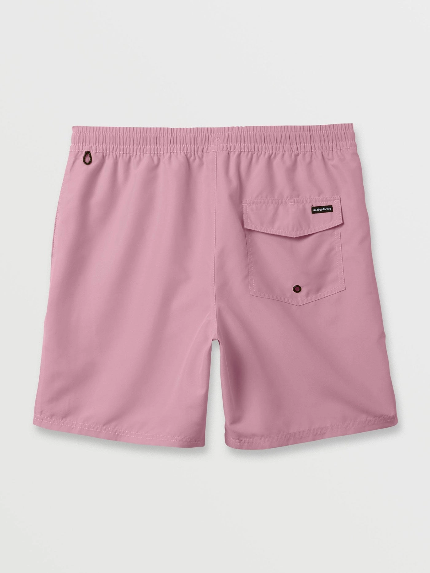 Everyday Solid Volley 17'' Boardshorts
