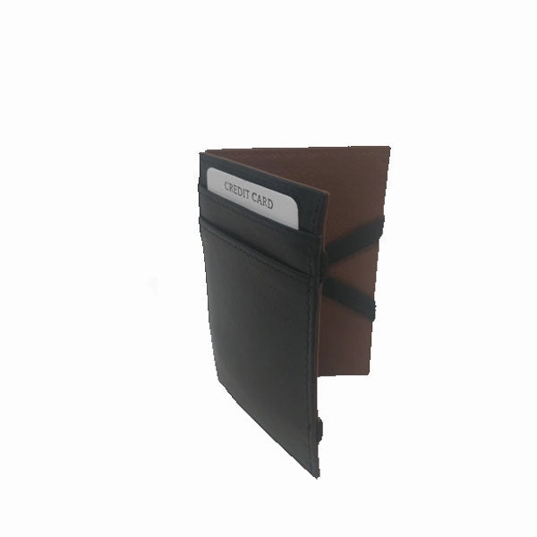 Holland Rfid Leather Card Holder Anti-Theft Zip Wallet