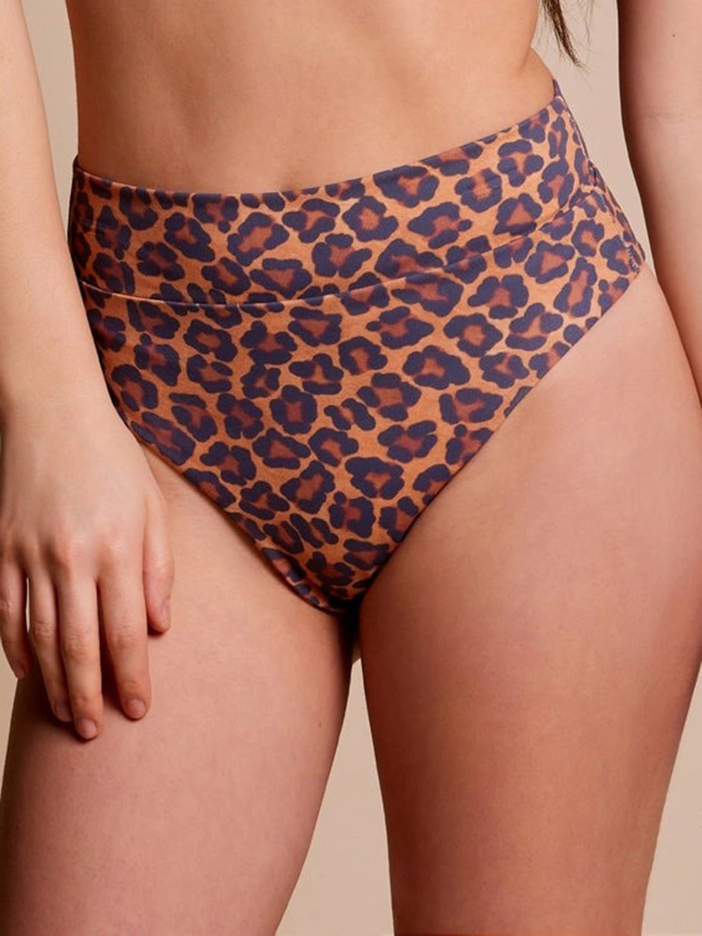 Island Dream Yvonne Bikini Bottom