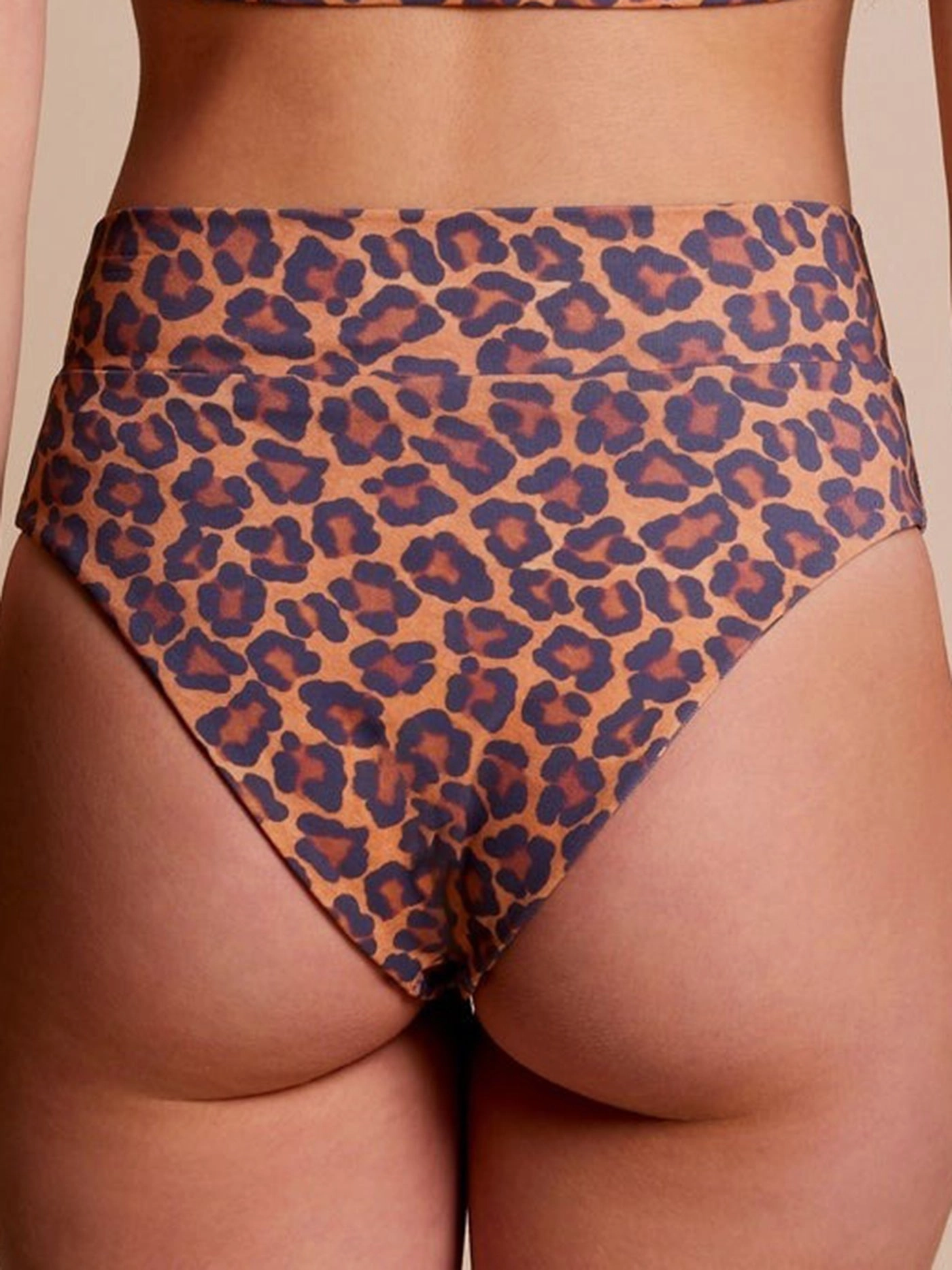 Island Dream Yvonne Bikini Bottom