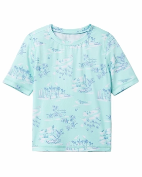 Janie and Jack Travel Toile Rashguard boys swimwear sets, boys swim trunks