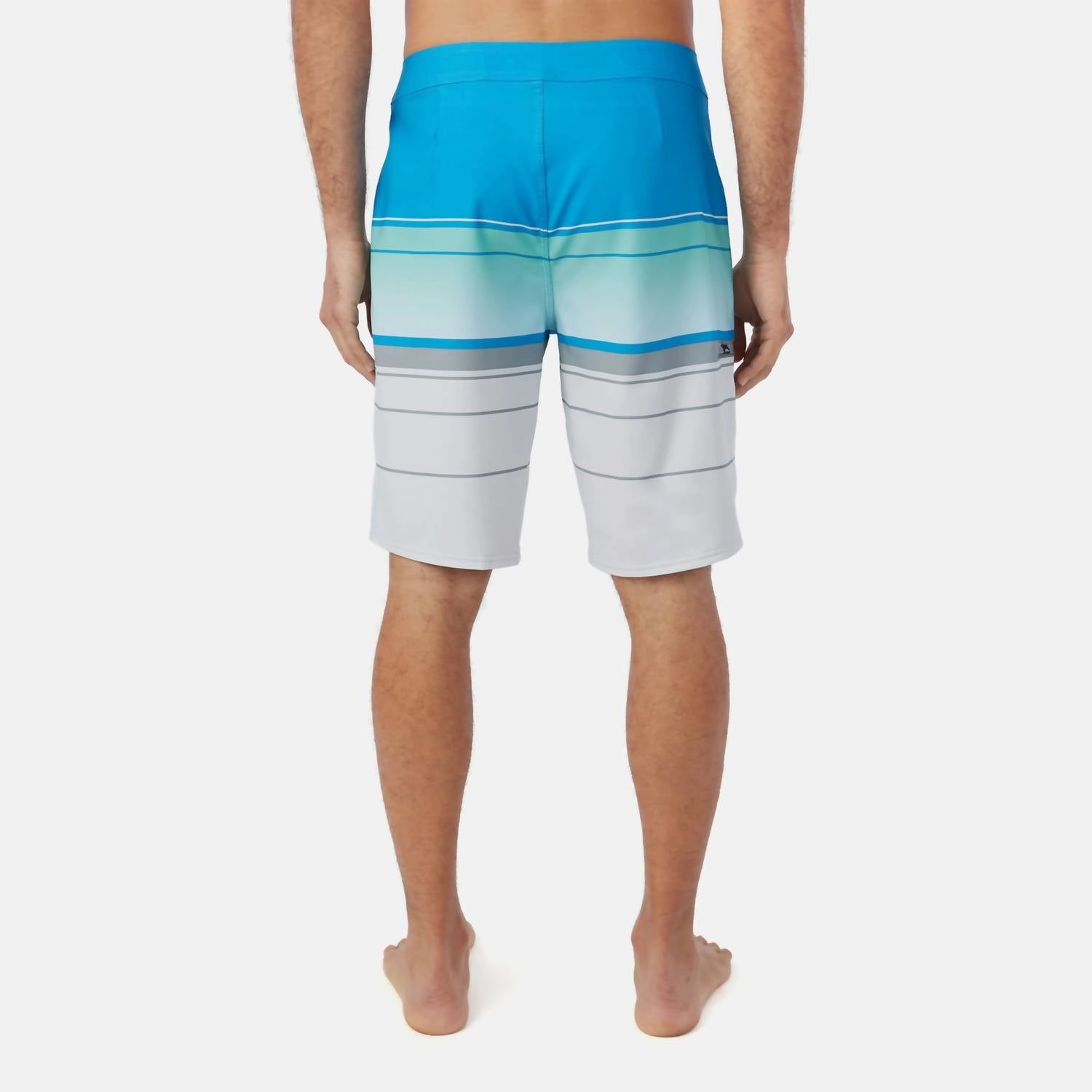 Men's Hyperfreak Heat Stripe 21 Board Shorts In Blue