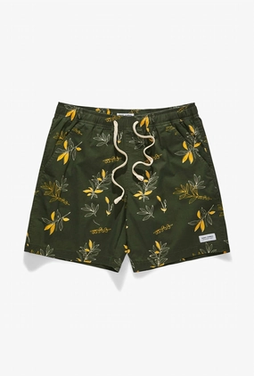 Men's Neighbour Elastics Boardshort In Green mens full coverage swimwear, stylish mens swim trunks