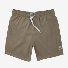 Men's Swim Short In Khaki mens full coverage swimwear, stylish mens swim trunks