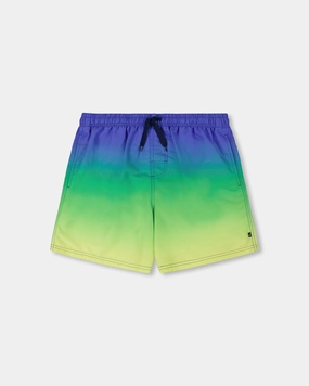 Men's Swim Trunks Blue, Green, And Lime Gradient mens beach swimwear, quick dry mens swimsuits