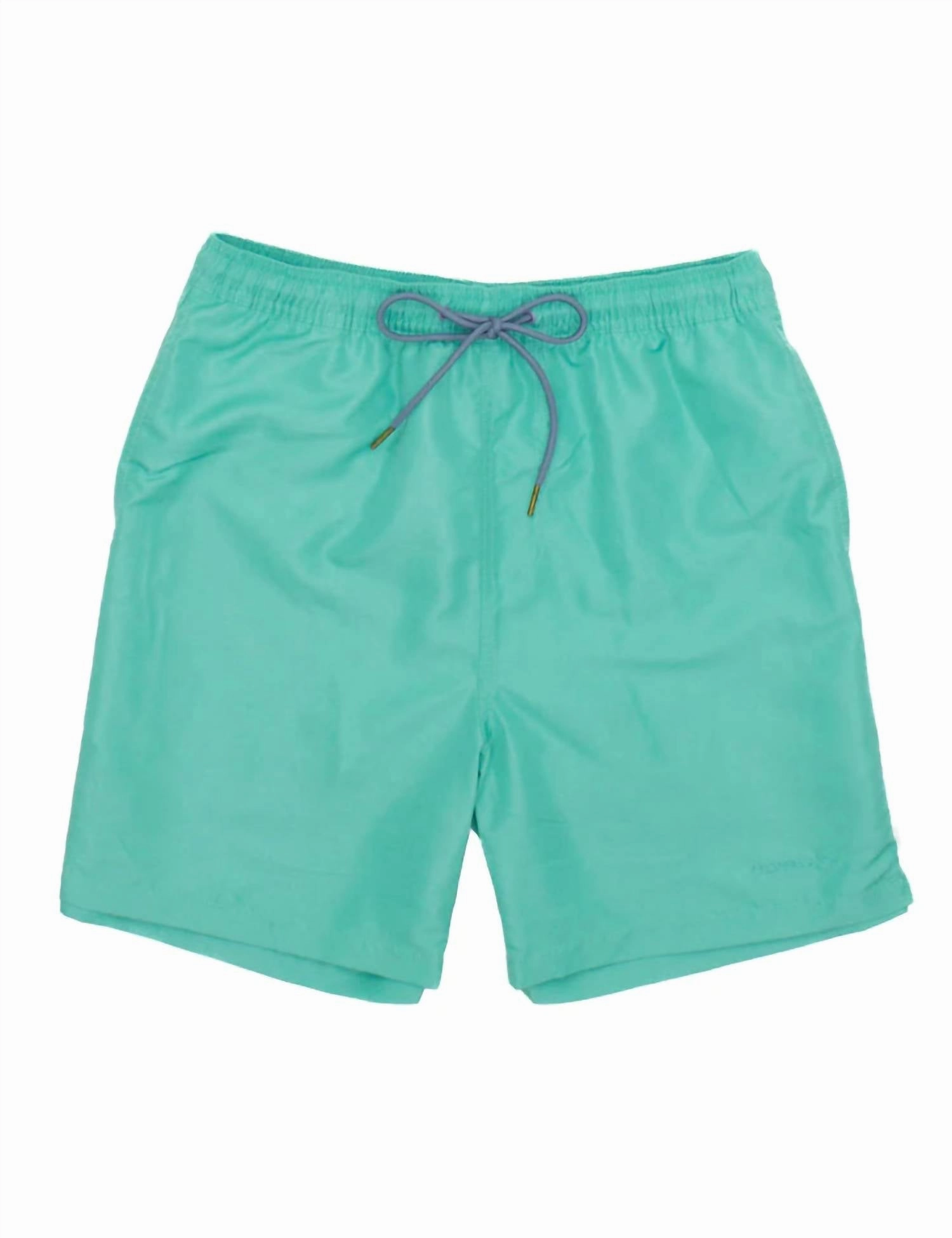 Men's Swim Trunks In Soft Green mens full coverage swimwear, stylish mens swim trunks