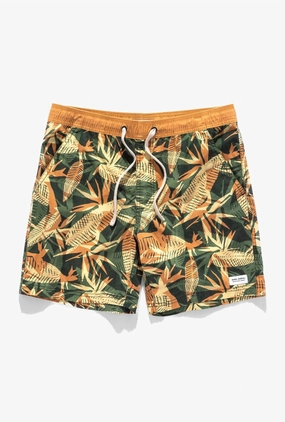 Men's Void Boardshort In Multi mens full coverage swimwear, stylish mens swim trunks
