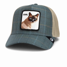 Moon Cat Trucker Hat Special Deals Online