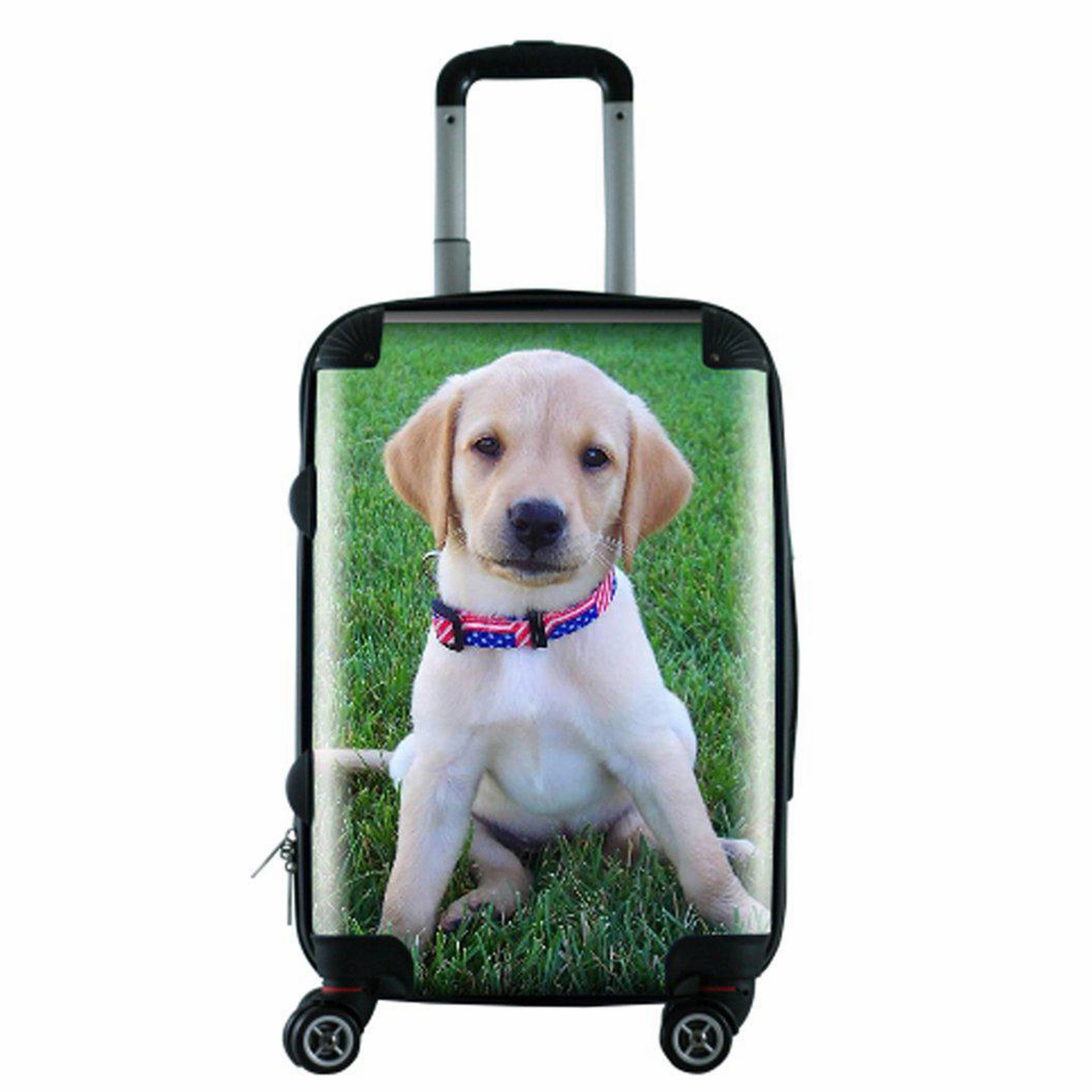 Myfly Bag Personalized Carry-On Luggage Travel Storage Container