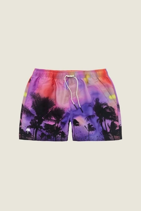 Mystic Palm Swim Shorts mens beach swimwear, quick dry mens swimsuits