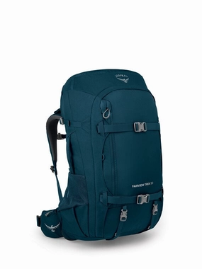 Travel Safety Bag Osprey Fairview Trek 50