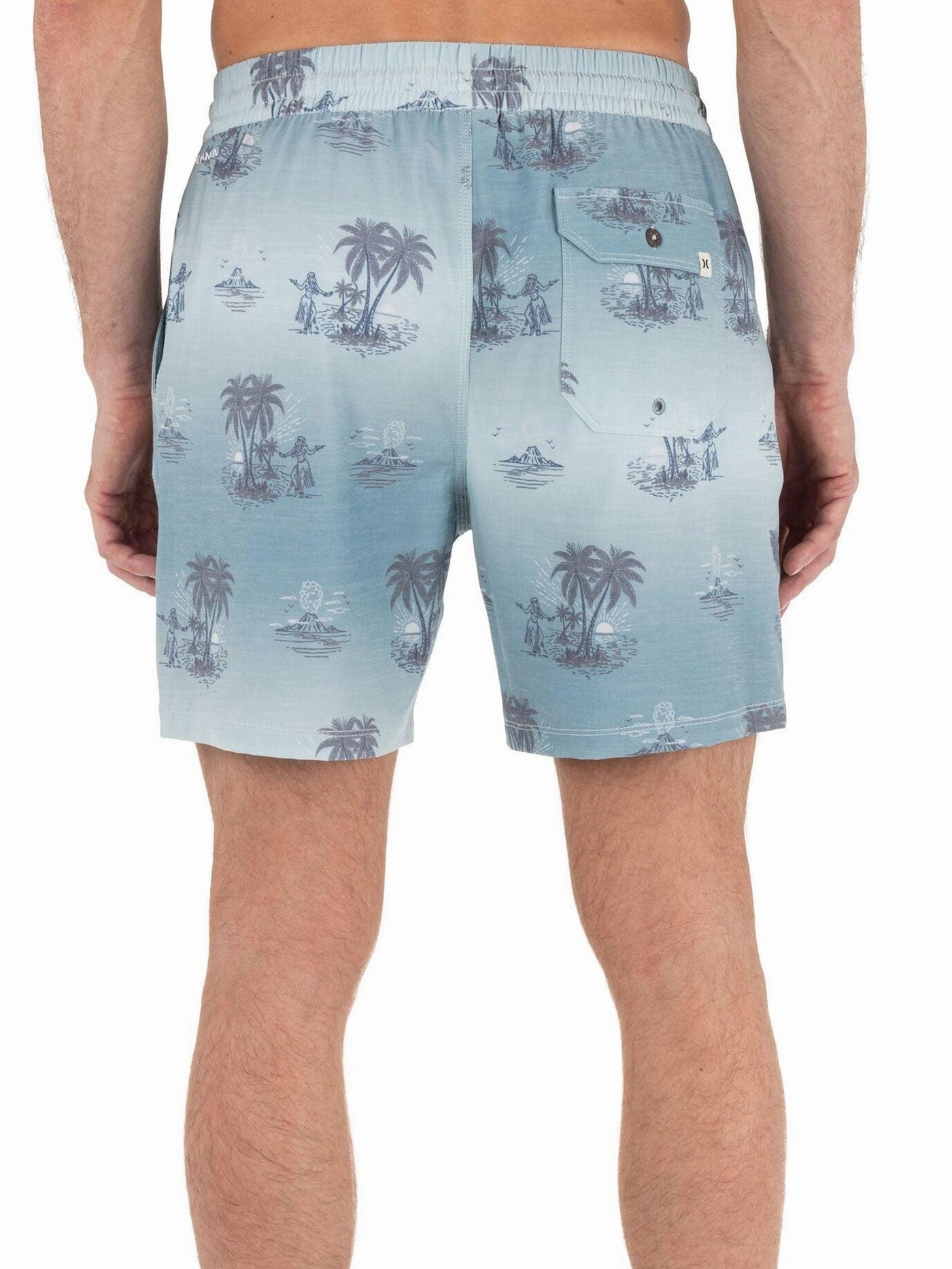 Phantom Naturals Cannonball Volley 17'' Boardshorts