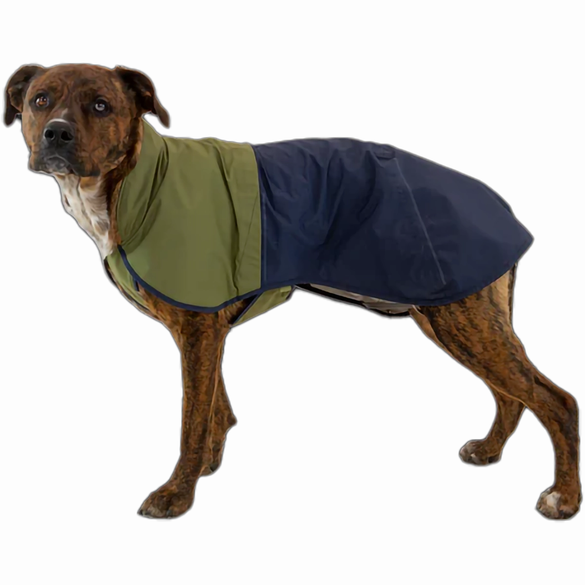 Sun Shower Jacket Flash Sale Alert Now Todays Mega Savings