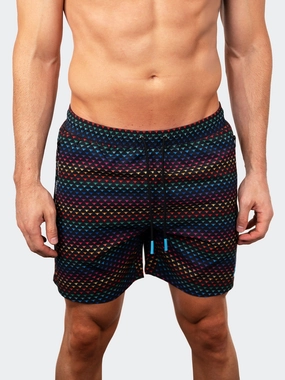Swim Lion Bees Black mens beach swimwear, quick dry mens swimsuits