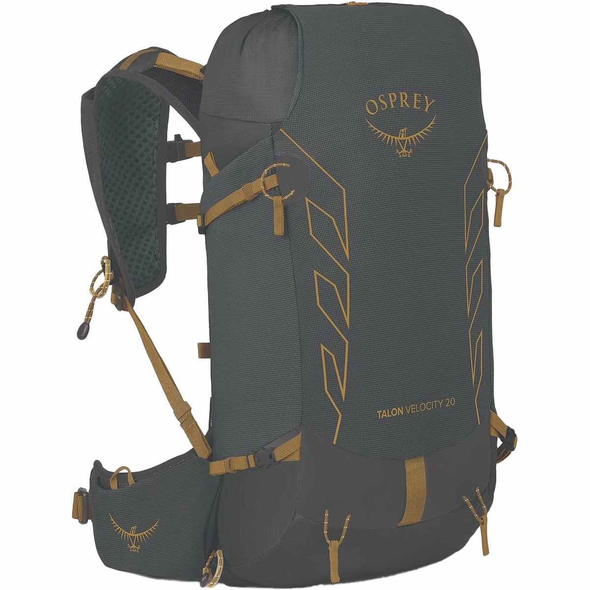Expandable Travel Bag Travel Security Bag Talon Velocity 20