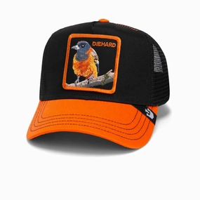 Dont Miss These Savings Todays Best Deal The Diehard Bird Trucker Hat