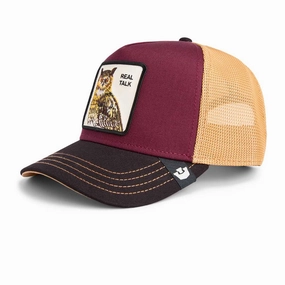 Last Chance Steal Tricolor Owl Trucker Hat